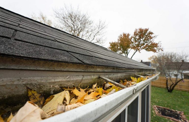 Regelmäßige Kontrolle und Reinigung von Dachrinnen - Besonders im Herbst