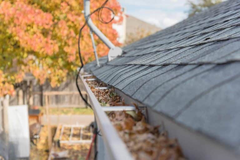 Regelmäige Reinigung der Dachrinnen - Beseitigeung von Laub und Schmutz aus der Dachrinne und den Fallrohren