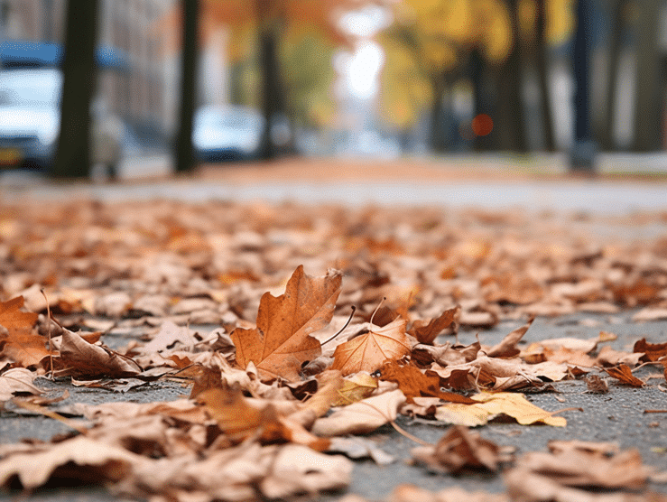 Laub harken im Herbst - Mit unseren Tipps wird das zum Kinderspiel